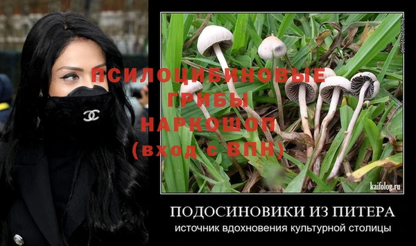 винт Великий Новгород