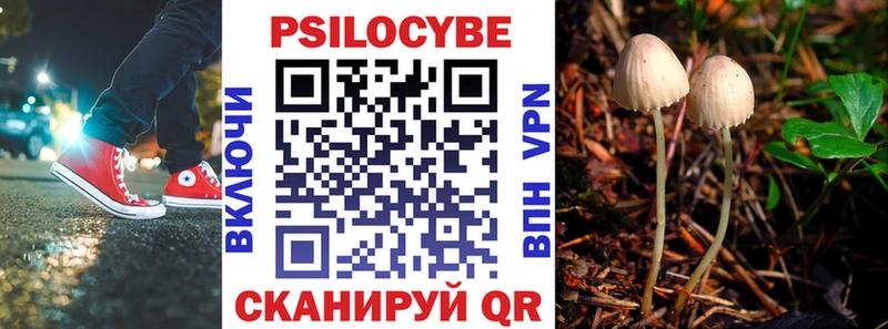 Галлюциногенные грибы MAGIC MUSHROOMS  Ядрин 